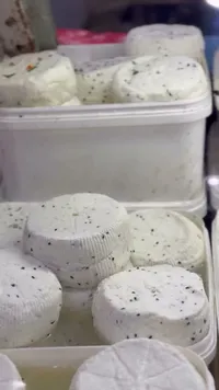 جبنة بيضاء بالأعشاب