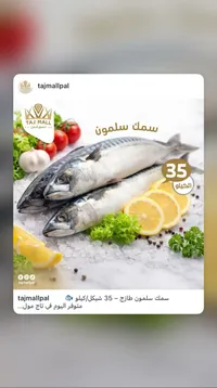 سمك سلمون طازج - تاج مول