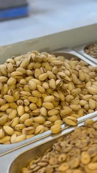 فستق حلبي محمص