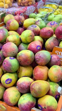 مانجو طازجة - تنوفا (Tnuva)