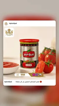 صلصة طماطم - بيونير