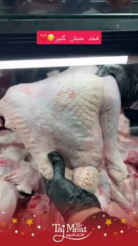 فخذ حبش كبير - تاج ميت