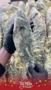 سمك مملح - تاي ميت