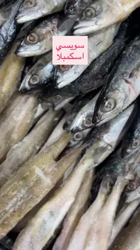 أسماك إسكمبري طازة - سوسي