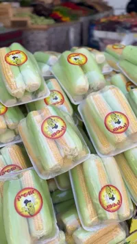 ذرة طازجة - بيلك (Peilc)