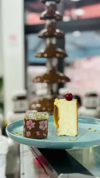 تشيز كيك مع شوكولاتة