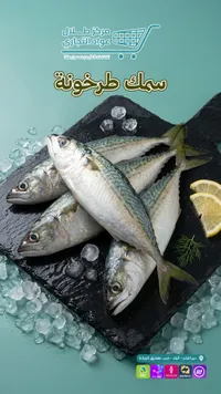 سمك طرخونة طازج - مركز طلال عواد التجاري