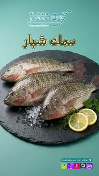 سمك شبار طازج - مركز طلال عواد التجاري