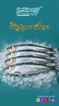 سمك سردينة طازج - مركز طلال عواد التجاري