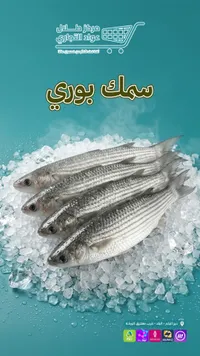 سمك بوري طازج - مركز طلال عواد التجاري