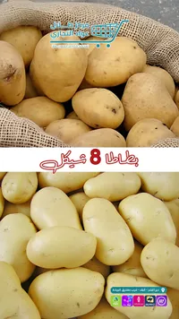 بطاطا طازجة - مركز طلال عواد التجاري - سوق غزة