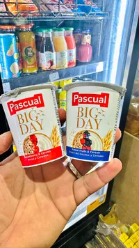 زبادي فواكه وحبوب - باسكوال بيج داي (Pascual Big Day)