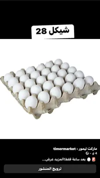 كرتونة بيض طازج - ماركت تيمور - سوق غزة