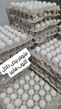 بيض طازج - التوب هايبر
