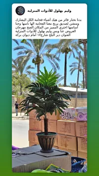 نبتة زينة صناعية في أصيص