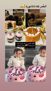 قالب كيك احتفالي - زهرة كيك (Zahra Cake)